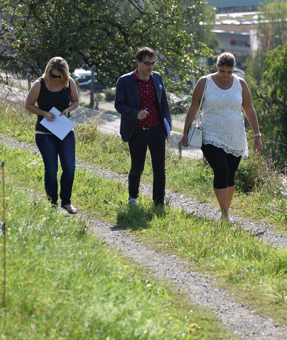 Teamarbeit Natur – Hochformat